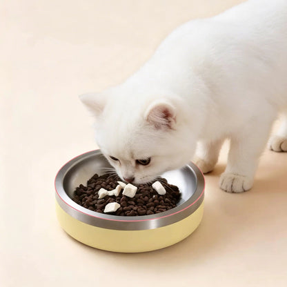 pet bowl